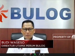 Bulog Tak Impor Beras & Serap Hasil Panen Sampai Juni 2021