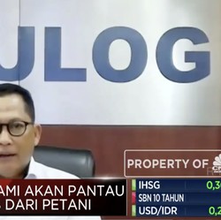 Penjelasan Buwas Soal Klaim Jokowi RI tak Impor Beras 3 Tahun