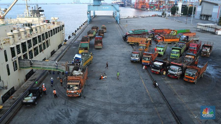 Bongkar Muat Sapi Impor Australia (CNBC Indonesia/Andrean Kristianto)