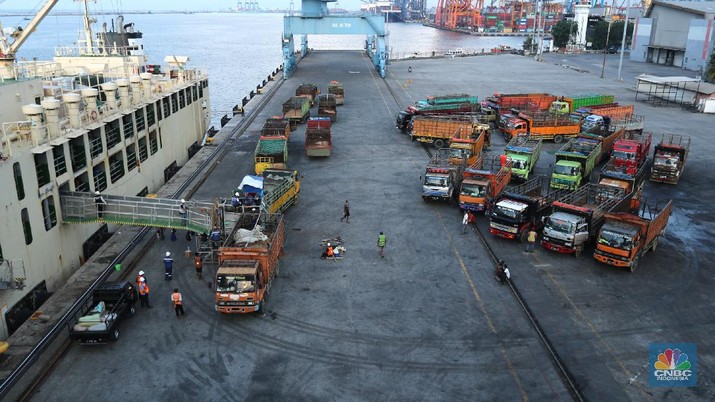 Bongkar Muat Sapi Impor Australia (CNBC Indonesia/Tri Susilo) Bongkar Muat Sapi Impor Australia (CNBC Indonesia/Tri Susilo)