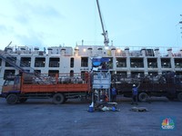 Intip Ribuan Sapi Impor Australia Tiba di Jakarta