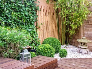 Mau Buat Taman Estetik dan Nyaman di Rumah? Siapkan 4 Hal Ini Dulu