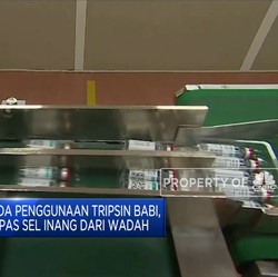 PBNU Pastikan Vaksin Astrazeneca Suci