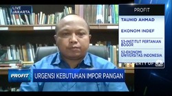 Pengamat: 3 Alasan RI Tak Perlu Impor Beras Hingga Juni