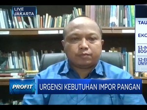 Pengamat: 3 Alasan RI Tak Perlu Impor Beras Hingga Juni
