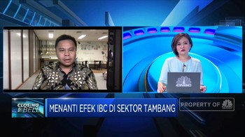 Succor AM: CPO & Batu Bara Jadi Sektor Yang Menjanjikan