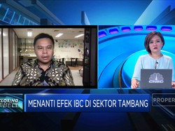 Succor AM: CPO & Batu Bara Jadi Sektor Yang Menjanjikan