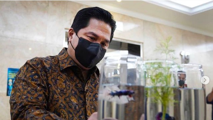 Erick Thohir dan ikan cupang di Kementerian BUMN