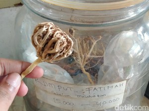 Benarkah Rumput Fatimah Baik untuk Ibu Hamil? Ini Penjelasannya