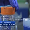 WHO Sesalkan Adanya Efek Risiko Pada Vaksin Astrazeneca