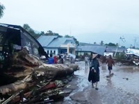 Banjir Bandang di Flores: 27 Orang Masih Hilang!