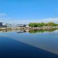 Kawasan Mangrove Pesisir Pantai Utara Jawa (Dok.Kementerian PUPR)