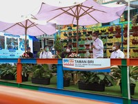 BRI Salurkan Kredit Ramah Lingkungan Rp 562 T di 2020