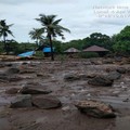 Bencana Banjir Bandang NTT: 84 Meninggal, 71 Masih Dicari