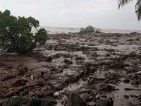 Banjir Bandang NTT Ganggu Pasokan BBM, Ini Solusi Pertamina!