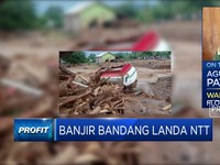 Banjir Bandang di Adonara, Wabup Flores Timur: 56 Meninggal