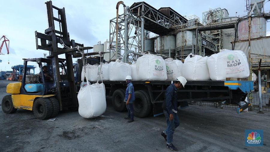 Buruh angkut pelabuhan mengangkut karung pupuk subsidi dari kapal saat bongkar muat di Pelabuhan Tanjung Priok, Jakarta, Senin (5/4/2021). Kementrian Pertanian mengungkapkan bahwa realisasi penyaluran pupuk subsidi telah mencapai 1,9 juta ton atau setara 21% dari alokasi tahun 2021 sebesar 9,04 juta ton dan 1,5 juta liter pupuk organik cair.
 (CNBC.Indonesia/ Tri Susilo)