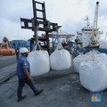 Mentan Amran Buka Suara Kapan Pupuk Organik Jadi Pupuk Subsidi Berlaku