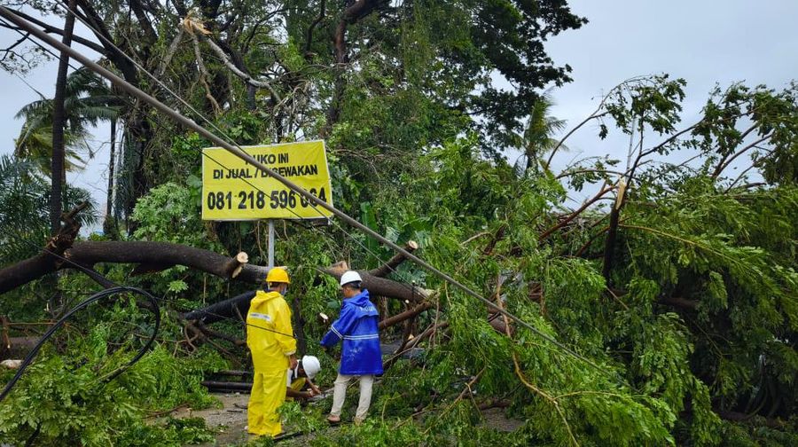 PLN Pulihkan 159 Gardu Listrik usai Badai Siklon Tropis Seroja Terjang NTT. (Dok. PLN)