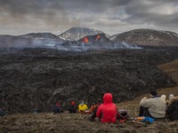 Kok Bisa Sih Nggak Ada Nyamuk di Islandia? Cek Faktanya