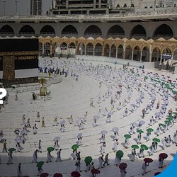 Jreng, Biang Kerok Cuan Investasi Dana Haji Kecil Terungkap