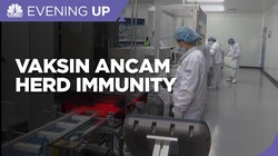 Embargo Vaksin Ancam Herd Immunity