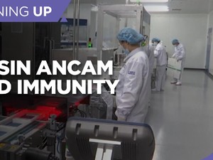 Embargo Vaksin Ancam Herd Immunity