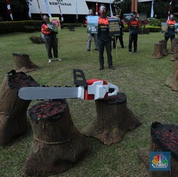 Hutan Papua Disebut Gundul, KLHK: Sejak Zaman Presiden SBY