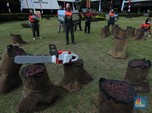 Hutan Papua Disebut Gundul, KLHK: Sejak Zaman Presiden SBY