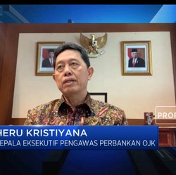 Berapa Banyak Bank Digital yang Dibutuhkan RI?