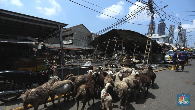 Sejumlah pedagang mengambil barang sisa kebakaran di Pasar Kambing, Tanah Abang, Jakarta (9/4/2021). Pasar kambing terbakar pada Kamis (8/4) sore, tampak semua  bangunan semi permanen ludes terbakar. Pantauan CNBC Indonesia petugas pemadam kebakaran masih mendinginkan api dilokasi terbakarnya pasar. Herman (39) 