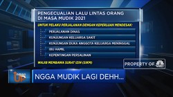 Ngga Mudik Lagi Dehh