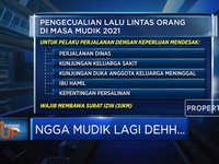 Ngga Mudik Lagi Dehh