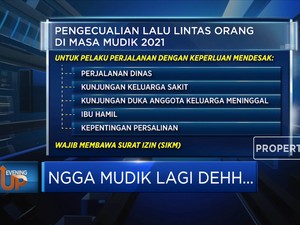 Ngga Mudik Lagi Dehh
