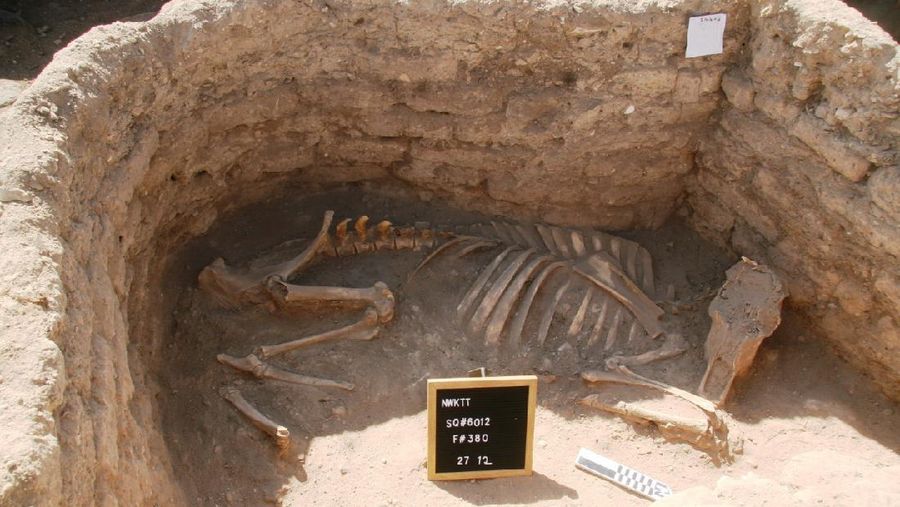 An undated handout photo released Thursday, April 8, 2021 by the by the Zahi Hawass Center For Egyptology shows an archaeological discovery as part of the 'Lost Golden City' in Luxor, Egypt. The city is 3000 years old, dates to the reign of Amenhotep III, and continued to be used by Tutankhamun and Ay. (by the Zahi Hawass Center For Egyptology via AP)