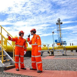 Duo Saham Grup Lippo Ngegas! Giliran PGAS-PNBS Ambles