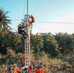 Demi Listrik 6 Kabupaten di NTT, PLN Terjunkan 723 Personel