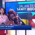 Jalan Terjal Sawit Indonesia