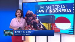 Jalan Terjal Sawit Indonesia