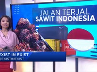 Jalan Terjal Sawit Indonesia