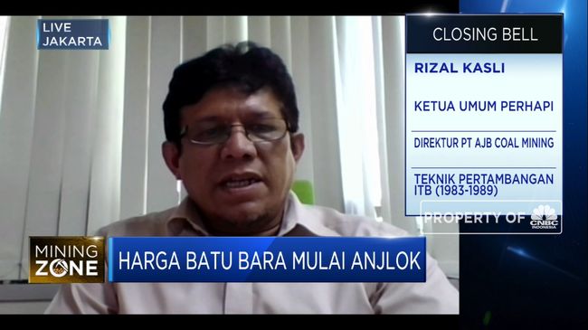 Harga Batu Bara Khusus Analis Berbeda Pandangan Market Bisnis Com