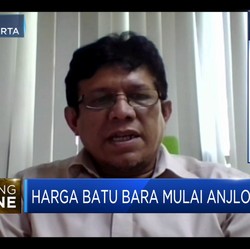 Perhapi: Harga Wajar Batu Bara 2021 ada di USD 70 -80 Per Ton