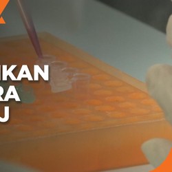 FDA AS Instruksikan Penghentian Sementara Vaksin J&J