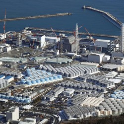 Dampak Limbah Nuklir Fukushima: Ikan dari Jepang Aman?