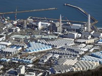 Dampak Limbah Nuklir Fukushima: Ikan dari Jepang Aman?