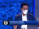 Kulik Ragam Perlindungan Aset di Asuransi Bencana BRINS