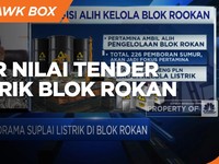 IESR:  Nilai Tender Listrik Blok Rokan USD 300 Juta Tak Wajar
