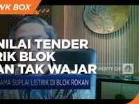 PLN Nilai Tender Listrik Blok Rokan Tak Wajar, Ini Alasannya