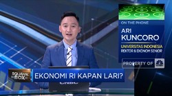 Ari Kuncoro: Masih Pandemi, PDB RI 2021 Maksimal 4,5%