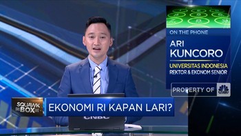 Ari Kuncoro: Masih Pandemi, PDB RI 2021 Maksimal 4,5%